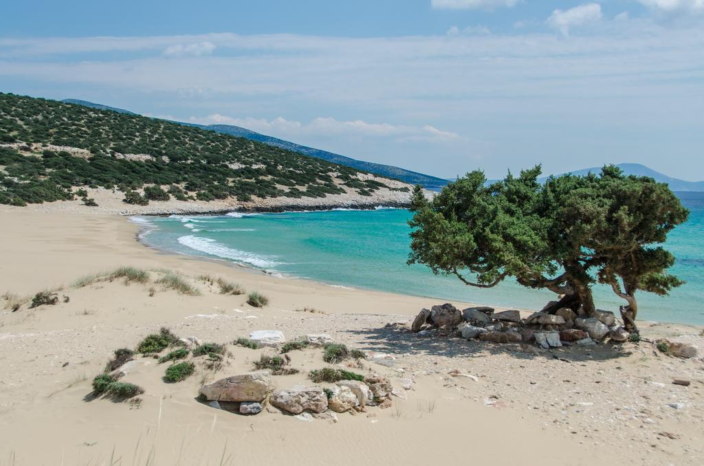 Psili Ammos Studios Aliko Beach エクステリア 写真